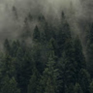 Meet your Posher, Ellen